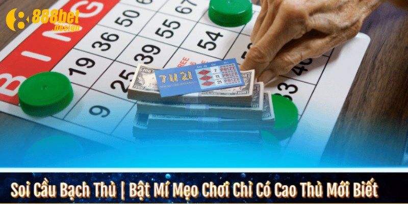 Soi cầu bạch thủ lô vip là phương pháp dự đoán con số